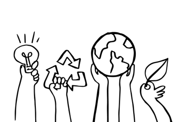 Illustration de 4 mains tenant des éléments importants de la biodiversité