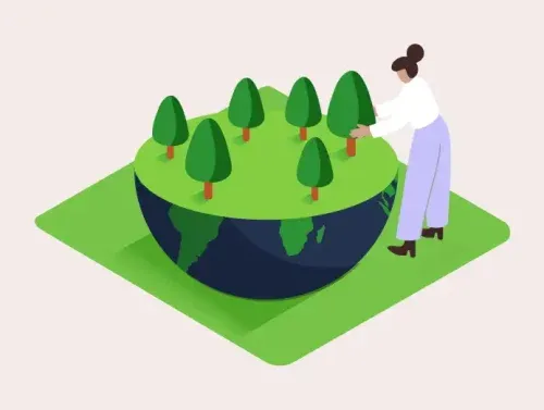 Le lancement d'un site ecoconçu