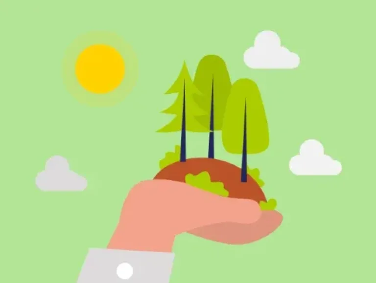 Site internet propre et ecoconception